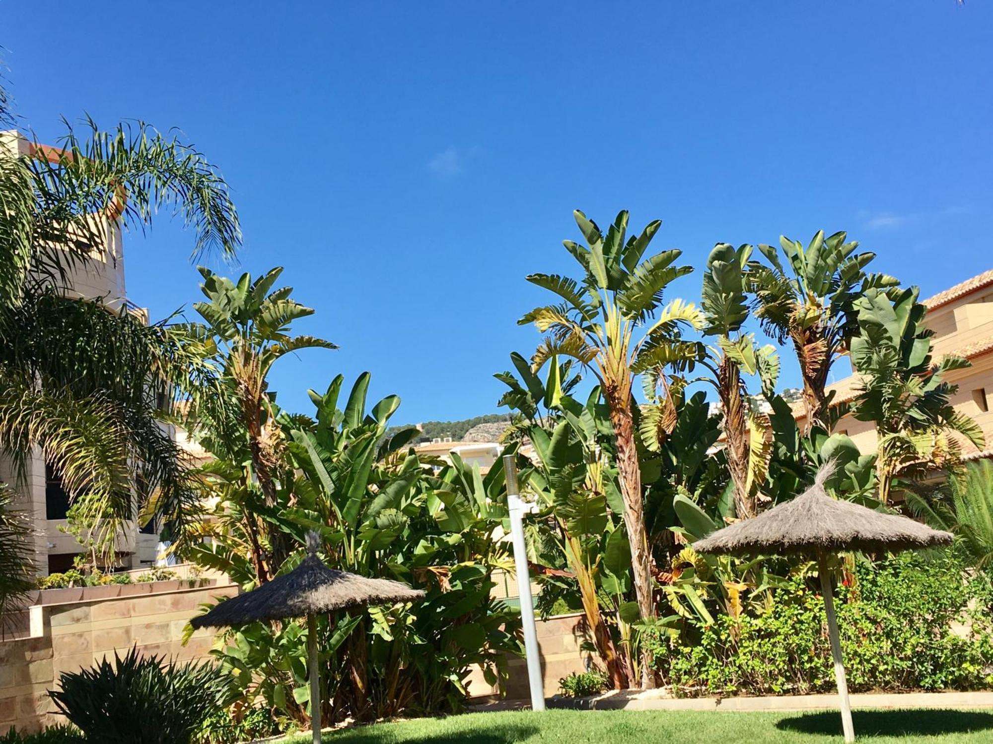 Luxury Spa Living Jávea Екстериор снимка